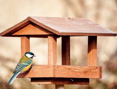Bird Tables & Bird Baths